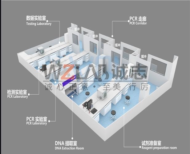 PCR实验室设计的7大注意事项